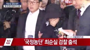 최순실 “죽을 죄를 지었습니다… 용서해주십시오”