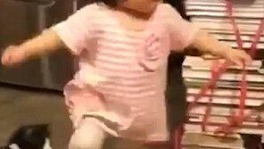 "엄마 쟤가 발 걸어쪄!"..뛰는 아이 슬쩍 발목 잡는 고양이