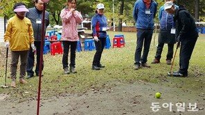 마레트골프를 아시나요?