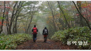 한라산둘레길 조성 중단 장기화
