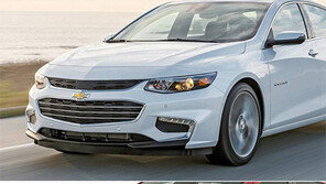 “우리 車끼리 얼굴 닮게”… 패밀리룩 경쟁 ‘시동’