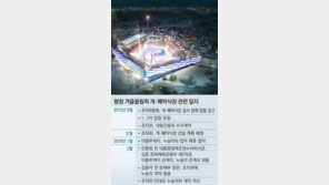 [단독]“문체부, 평창 개막식장 업체로 더블루케이 제휴사 선정 압력”