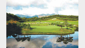 동해 바라보며 소나무숲서 힐링 라운드