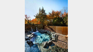 한화리조트 무제한 온천 패키지