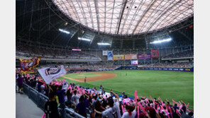 2016시즌, 한·미·일 프로야구는 ‘곰의 세상’