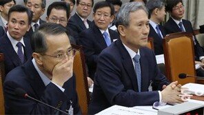 외교안보수석도 “朴대통령 독대한 적 없어”