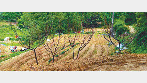 [화제의 분양현장]잠실까지 10분거리…하남 그린벨트 토지 들썩