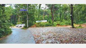 [화제의 분양현장]의왕 ‘백운밸리’ 인접 그린벨트 땅 3.3㎡당 95만 원부터