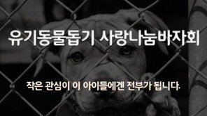 페이스북 '반사모', 유기동물돕기 사랑나눔바자회 개최