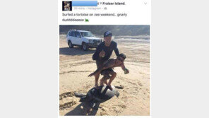 ‘멸종위기’ 바다거북 타고 서핑 흉내 사진, 누리꾼 비난 폭주