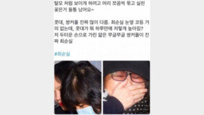 “최순실 대역 의혹 핵심은 ‘이 정권이라면 그럴수도…’ 라는 근본적인 불신”