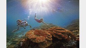 모두투어, 죽기 전에 꼭 가봐야 할 ‘케언즈’상품 선봬