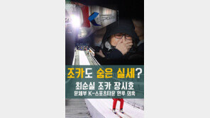 [카드뉴스]최순실 조카도 숨은 실세?