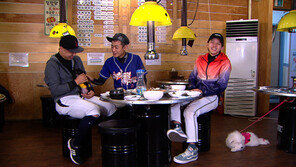 [오늘의 채널A] 야구장으로 산책 나간 동호와 수호