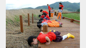[엄마·아빠 어디가] 순천만 갈대축제