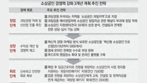 ‘치킨집 옆 치킨집’ 막는다… ‘소상공인 경쟁력 강화 3개년 계획’ 발표
