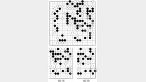 [바둑]역대 국수전 우승 결정국… 갈팡질팡