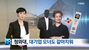 CJ 이미경 퇴진 요구 靑인사는 조원동?…“그냥 쉬라는데 뭐가 더 필요”