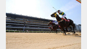 경마 한일전, 이번에도 싹쓸이?