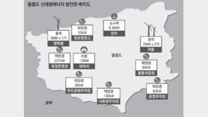 전기 직접 만들어 쓰고 판매까지… 떠오르는 ‘에너지 자립섬’