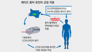 샤르팡티에 교수 “정밀도-안전성 월등… 현대 의료 한계 극복”