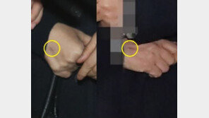 ‘가짜 최순실 설’에 수사 검찰 “지문 대조 통해 본인 확인됐다”