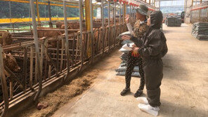 식품안전관리인증 축산농가 5년새 2.3배로