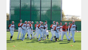 롯데는 마무리훈련에서 무엇을 얻을까