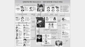 실핏줄처럼 뻗친 최순실 검은손… 검찰이 밝혀야할 국정농단 의혹들