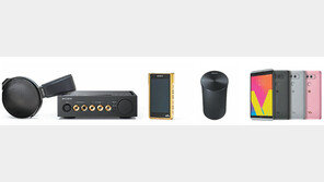 전문 오디오기업부터 스마트폰-자동차업계까지… 소리없이 커진 ‘소리 전쟁’