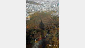 절정 치닫는 남산의 단풍