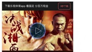 권아솔, 최홍만 패배에 “X망신. 순시리 다음은 너냐”…누리꾼 “도 지나쳐” vs “이해된다”