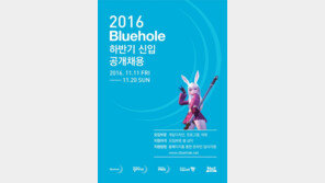 블루홀, 2016년 하반기 신입 공개채용 실시
