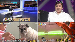 풍자가 판치는 ‘슬픈 세상’