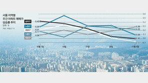 강남 재건축 찬바람에… 투자자들 강북으로 ‘피난 투자’