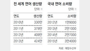 국산 양식연어, 밥상 오른다