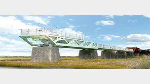 임진각 독개다리 ‘스카이워크’ 12월 개장