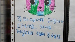 '똑똑! 길고양이 모닝노크는 어릴 때부터~~'