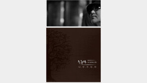 사이버 음향과 함께, 20년만에 다시 피어오른 안개