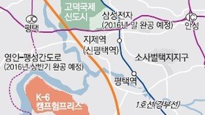 [화제의 분양현장]미군부대 인접한 수익형 단독주택 평택그랜드캐슬 