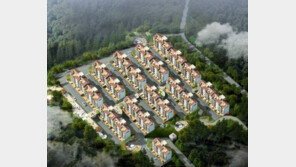 [화제의 분양현장]용인 ‘에코릿지 테라스 타운하우스’ 