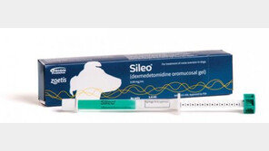 '불꽃놀이, 천둥소리에 자지러지는 개를 위한 약 나온다'