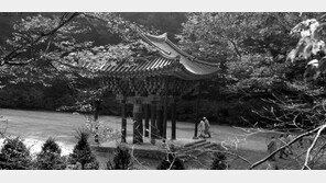 고운사에서 화엄(華嚴)의 미(味)에 빠지다