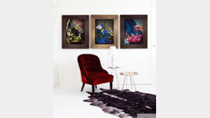 Maxmalism~ 맥시멀리즘 인테리어