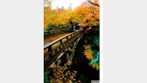 처음 만나는 일본 이시카와