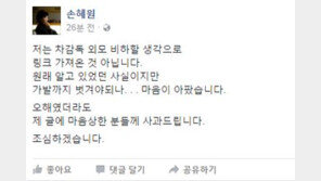 차은택 머리숱 언급 손혜원 “가발까지 벗겨야되나 마음 아파, 오해였더라도…” 사과