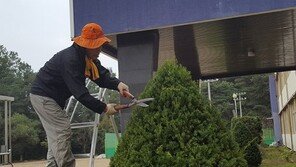  교장쌤 남편이 매일 학교 땅을 팠던 이유