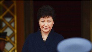 전략외교 필요한데… “대통령이 나서야” “안된다” 입씨름만