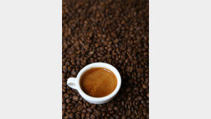 [책의 향기]당신이 사랑하는 커피를 위한 변명