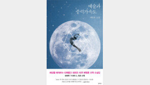 [책의 향기/술∼술 이책]예술과 중력가속도